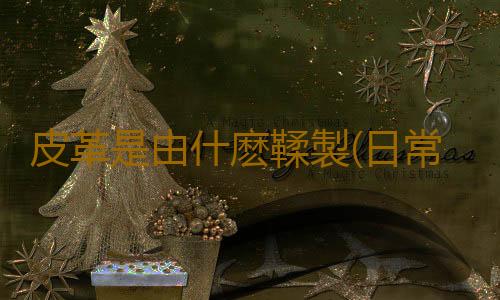 皮革是由什麽鞣製(日常見到的皮革是怎麽生產的?)